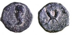 AGRIPPA I, 37 – 43 CE Bronze, 13.9 mm. Obverse: Bust of young Agrippa II to l. Reverse: Double cornucopia. Good Fine and Very Rare. Meshorer TJC 119; ...