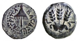 AGRIPPA I, 42 CE Bronze Prutah, 17.5 mm. Obverse: Canopy. Greek inscription: "BACIΛEWC AΓPIΠA". Reverse: Three ears of barley. Extremely Fine. Meshore...
