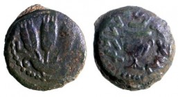 TWO BRONZE PRUTOT STUCK TOGETHER One of Agrippa I, 42 CE and one of the First Revolt against Rome, 67 CE. Very Fine. Meshorer 120/196; Hendin 1244/136...