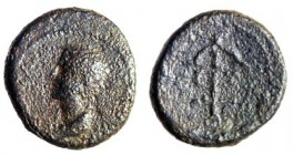 AGRIPPA I, 37 – 43 CE Bronze, 16.2 mm. Obverse: Bust of young Agrippa II to l. Greek inscription: “Agrippa, son of the king". Reverse: Anchor, LZ, yea...