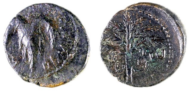 SHIMON BAR-KOKHBA, 132 – 135 CE Bronze, 25.9 mm. Obverse: Vine leaf. Paleo-Hebre...