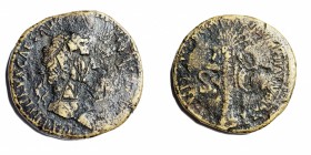 NERVA, 96 – 98 CE Bronze sestertius, 34.0 mm. Obverse: Bust of Nerva to r. Reverse: Palm tree. Latin inscription: FISCI IVDAICI CALVMNIA SUBLATA S C “...