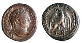 CAESAREA, CARACALLA, 198 – 217 CE Silver tetradrachm, 14,34 gr. Obverse: Bust of Caracalla to r. Reverse: Eagle standing on torch entwined by a serpen...