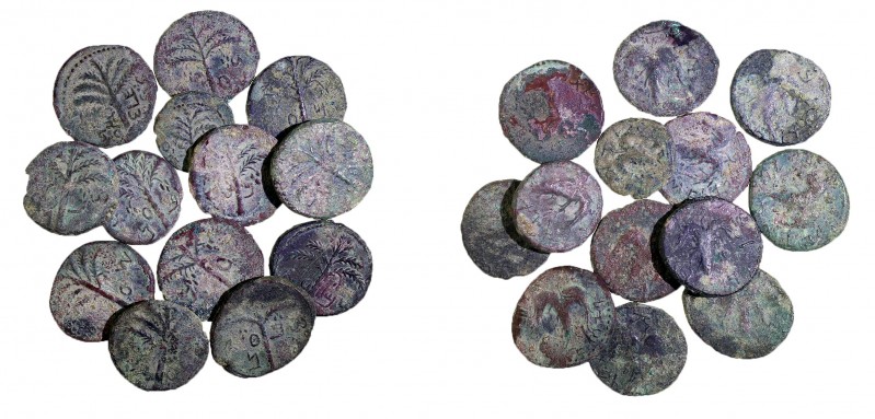 A HOARD OF 13 BRONZE COINS OF SHIMON BAR-KOKHBA, 132 – 135 CE Including 12 mediu...