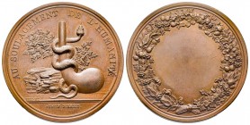 Médaille en bronze, Premier empire, Prix d'histoire naturelle, M. Voillemier de Chaumont (Haute-Marne), 1803, AE 26.45 g. par Brenet
Avers : AU SOULAG...