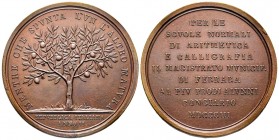 Médaille en bronze, Prix de l'école de Ferrare, 1803, AE 44.96g. 46.9mm
Ref : Bramsen 287, Julius 1196, Essling 2498, Turricchia 334
FDC