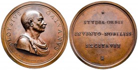 Médaille en bronze, Aloysius Galvanus, Rome, 1806, AG 107.2 g. 67.2 mm par Mercandetti T
Avers : ALOYSIVS GALVANVS T MERCANDETTI P R 
Revers : STVDIA ...