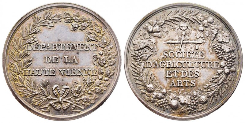 Médaille en argent, Société d'agriculture de la Haute Vienne, Limoge, 1807, AG 2...