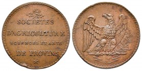 Jeton, Société d'agriculture, 1808, Paris, AE 8.53 g. 30.1 mm
Ref : Bramsen 823, Julius 2039, Essling 2273, TNE 30.7
Superbe