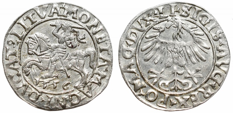 Sigismund II August, Half-groat 1556, Vilnius - LI/LITVA 
Zygmunt II August, Pó...