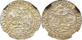 Sigismund II Augustus, Half-groat 1557, Vilnius - L/LITVA NGC MS64 MAX