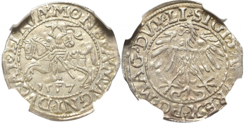 Sigismund II Augustus, Half-groat 1557, Vilnius - LI/LITVA NGC MS64
Zygmunt II ...