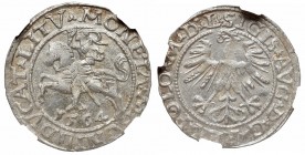 Sigismund II August, Half-groat 1564, Vilnius - L/LITV NGC MS64 2-MAX