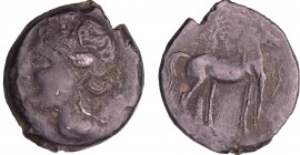 Siculo-Puniques - Carthage - Bronze (220-210 av. J.-C.)
A/ Tête de Tanit à gauche.
R/ Cheval à droite regardant devant, une lettre punique entre les...