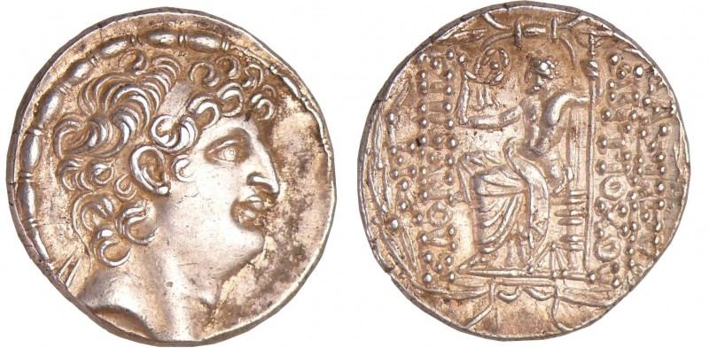 Seleucide - Antiochus VIII, Grypos - Tétradrachme (125-96 av. J-C)
A/ Tête diad...