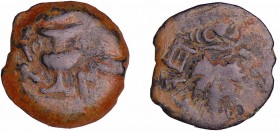 Judée - 1er Révolte juive (66-70 ap J.C.) - Perutah
A/ Feuille de vigne.
R/ Amphore.
TB
GIC.5629-Coins of the land of israel.73
Ae ; 2.60 gr ; 17...