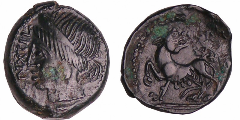 Carnutes - Bronze PIXTILOS à la louve et au lézard (40-30 av. J.-C.)
A/ PIXTILO...