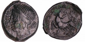 Carnutes - Bronze PIXTILOS à la louve et au lézard (40-30 av. J.-C.)
A/ PIXTILOS. Tête féminine à gauche.
R/ Louve à gauche tournant à tête à droite...