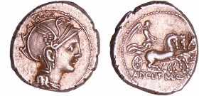 Mallia - Denier (111-110 av. J.-C.)
A/ Tête casquée de Rome à droite. 
R/ AP.CL.T.MAL.Q VR. La Victoire sur un trige. Le premier cheval tourne la tê...