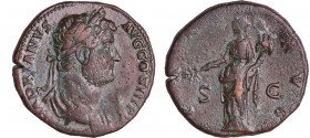Hadrien - Sesterce (135, Rome) - La Paix
A/ HADRIANVS AVG COS III P P. Buste nu à droite. 
R/ PAX AVG // S G La Paix debout à gauche, tenant une bra...