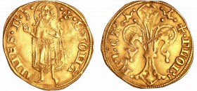 Cambrésis - Gui de Ventadour - Florin (Cambrai)
Gui de Ventadour 59ème évêque (1342-1348). A/ + FLOR EPI CA. Grande fleur de lis.
R/ S IOHANNES B. S...