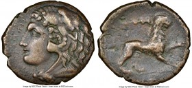 SICILY. Messana. Ca. 300-275 BC. AE (20mm, 6h). NGC VF. Ca. 278-276 BC. MEΣΣANΩN, head of Heracles left, wearing lion skin headdress, paws tied before...
