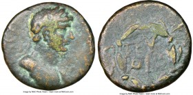 PHOCIS. Delphi. Hadrian (AD 117-138). AE (18mm, 4.39 gm, 2h). NGC Fine 4/5 - 4/5. ΑΥ ΚΑΙ ΤΡΑΙΑΝΟ ΑΔΡΙΑΝΟ, laureate, heroically nude bust of Hadrian ri...