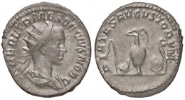 ROMANE IMPERIALI - Erennio Etrusco (251) - Antoniniano - Busto radiato e drappeggiato a d. /R Strumenti sacrificali C. 14; RIC 143 (AG g. 4,51)
SPL
