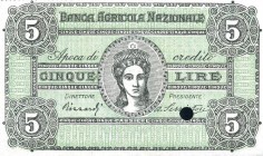 CARTAMONETA - BUONI AGRARI - Banca Agricola Nazionale Firenze - 5 Lire 31/01/1872 Gav. 56 var. RRRR
FDS