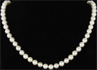 Colliers und Halsketten
Perlencollier aus 79 Perlen (je ca. 7 mm). Länge 62 cm. Verschluss Gelbgold 585