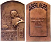 Württemberg
Wilhelm II., 1891-1918
Bronzeplakette o.J. (um 1900). Königl. Württ. Landesmuseum, "Dem Spender herzlichen Dank". 45 X 75 mm.
vorzüglic...