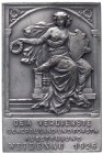 Gartenbau und Landwirtschaft
Siegen
Einseitige, rechteckige, versilberte Bronzeplakette 1926. Gewerbliche Land- und Forstausstellung Weidenau. 40 X ...
