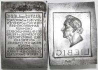 Medicina in Nummis
Personenmedaillen
Liebig, Justus Freiherr von, 1803 Darmstadt - 1873 München, Chemiker und Erfinder des Fleischextraktes
Origina...