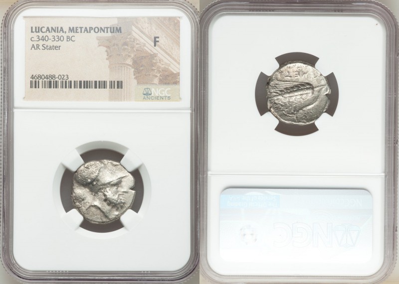 LUCANIA. Metapontum. Ca. 340-330 BC. AR stater (20mm, 2h). NGC Fine. Ap- and Ami...