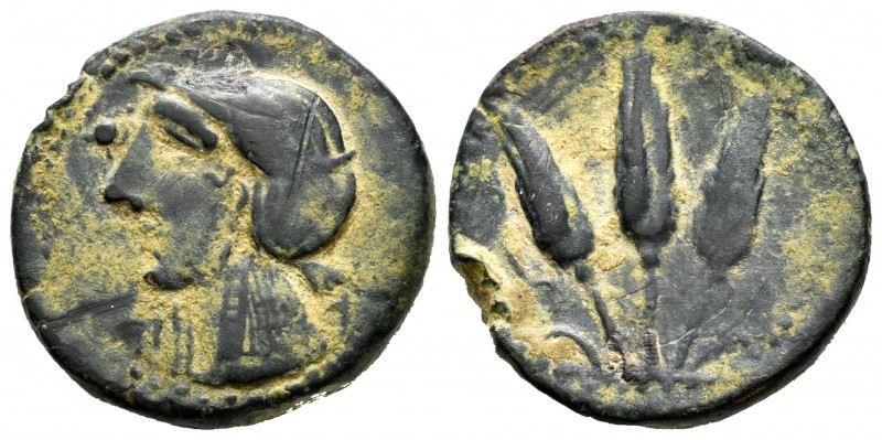 Tingis. AE18. s. II-I a.C. Mauritania. (Müller-225 similar). Anv.: Busto a izqui...