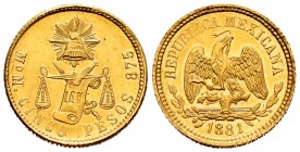 México. 5 pesos. 1881. (Km-412.6). (Fried-139). Au. 8,47 g. Brillo original. Escasa. EBC. Est...500,00. // ENGLISH: Mexico. 5 pesos. 1881. (Km-412.6)....