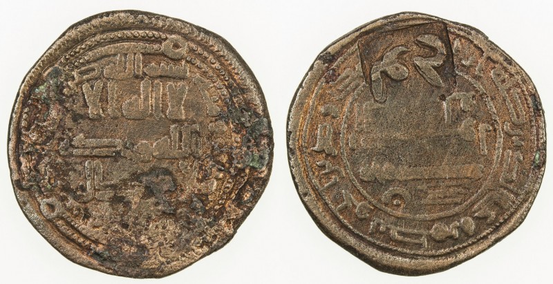 ABBASID: AE fals (3.45g), Tawwaj, ND, A-337H, countermarked the city name on the...