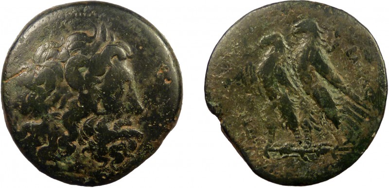 Greek, Ptolemaic Kingdom of Egypt, Ptolemy VI Philometor and Ptolemy VIII, AE, A...