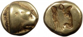 Greek, Lesbos, c. 478-455 BC, EL Hekte, Mytilene 
2.47 gm 11 mm, aVF

Obverse: Head of lion right
Reverse: Incuse head of bull right
Reference: Bodens...