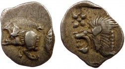 Greek, Mysia, c. 525-475 BC, AR Hemiobol, Kyzikos 
0.42 g, 10 mm, aVF

Obverse: Forepart of boar left; to right, tunny upward
Reverse: Head of roaring...