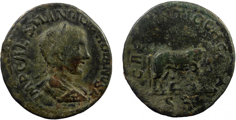 Roman Provincial, Pisidia. Antiochia. Gordian III, AE35
26.17 g, 35 mm, gF

Obve...