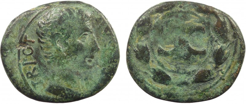 Roman Provincial, Syria, Antioch, Augustus, AE27
10.48 g, 27 mm, gF

Obverse:...