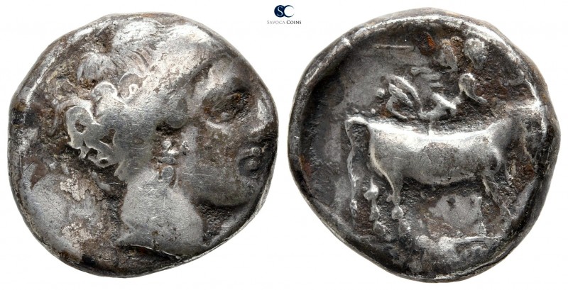 Campania. Neapolis circa 300-275 BC. 
Didrachm AR

20mm., 7,29g.



very ...