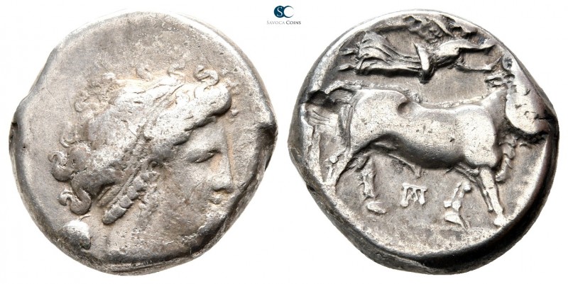 Campania. Neapolis circa 300-275 BC. 
Didrachm AR

20mm., 7,48g.



very ...