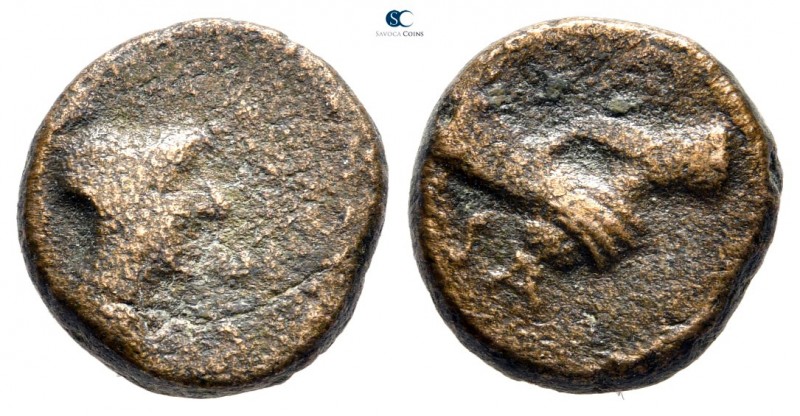 Lucania. Paestum 90-44 BC. 
Bronze Æ

13mm., 3,30g.



nearly very fine
