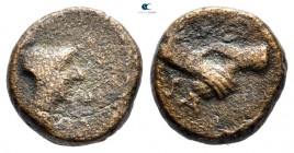 Lucania. Paestum 90-44 BC. Bronze Æ