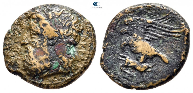 Sicily. Akragas circa 338-317 BC. 
Bronze Æ

20mm., 5,37g.



nearly very...