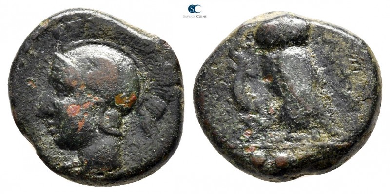 Sicily. Kamarina circa 420-405 BC. 
Tetras or Trionkion Æ

15mm., 3,00g.

...