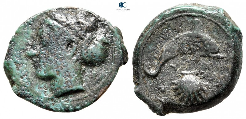 Sicily. Syracuse. Second Democracy 466-405 BC. 
Litra Æ

19mm., 3,35g.


...