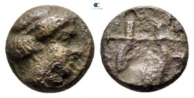 Macedon. Bottice 400-348 BC. Bronze Æ